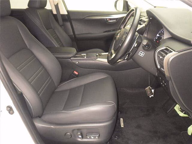 LEXUS NX300