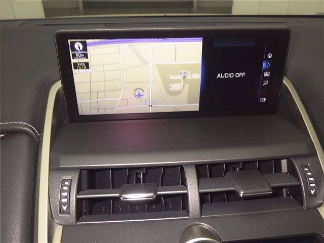 LEXUS NX300