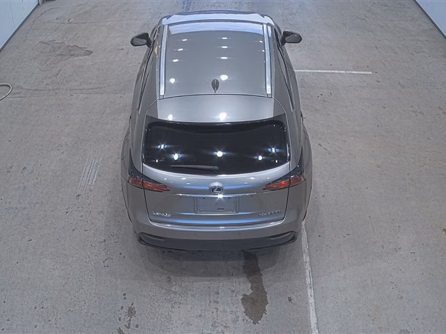 LEXUS NX300