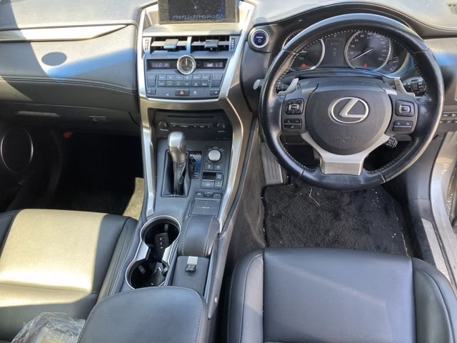 LEXUS NX300