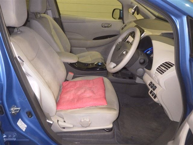 NISSAN LEAF