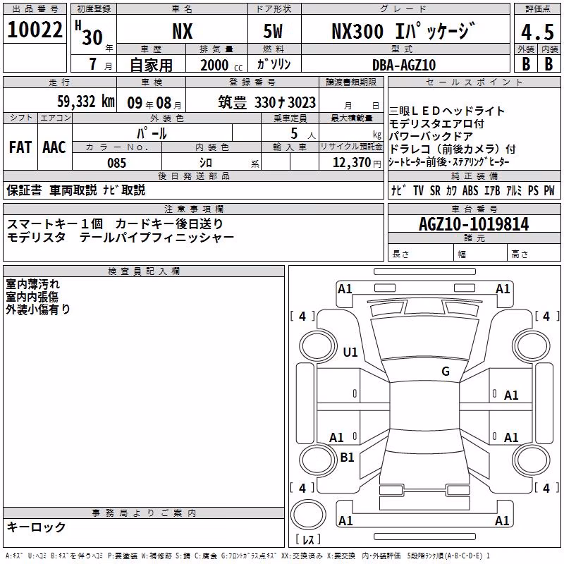 LEXUS NX300