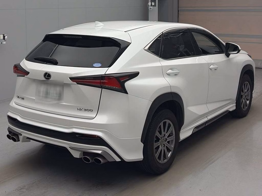 LEXUS NX300