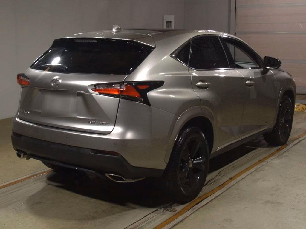 LEXUS NX300
