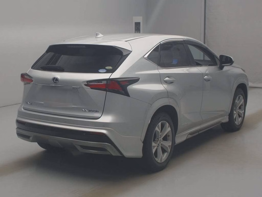 LEXUS NX300