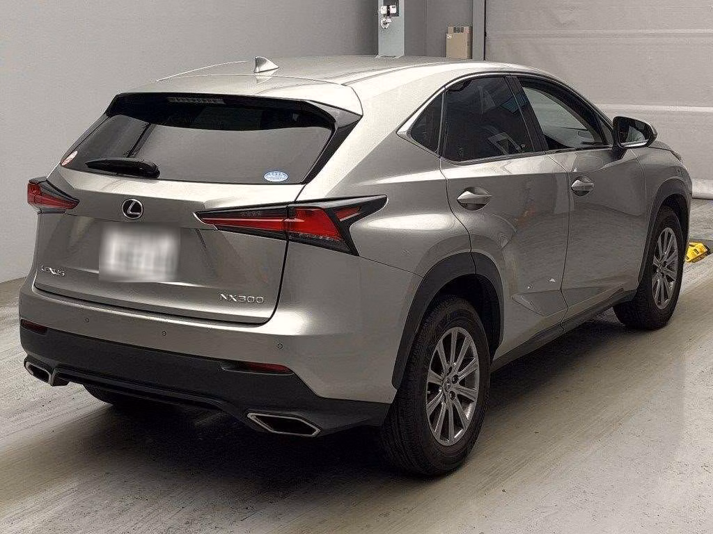 LEXUS NX300