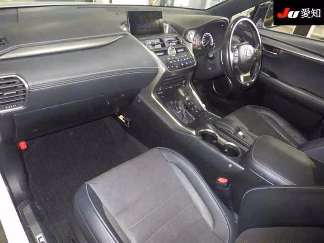 LEXUS NX200T