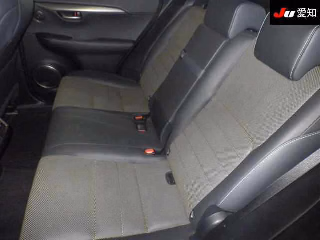 LEXUS NX200T