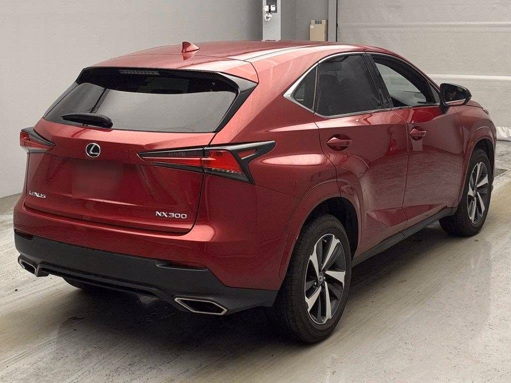 LEXUS NX300