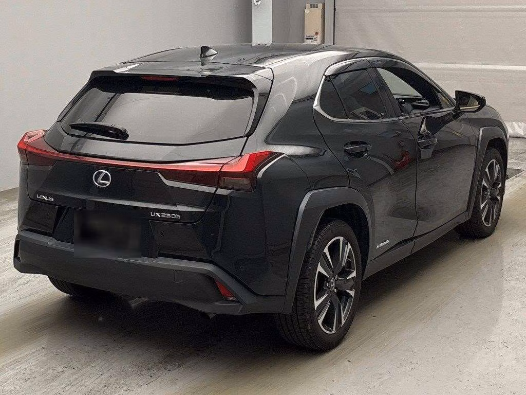 LEXUS UX250H