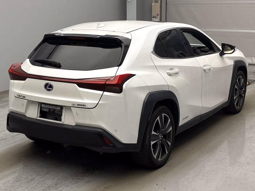 LEXUS UX250H
