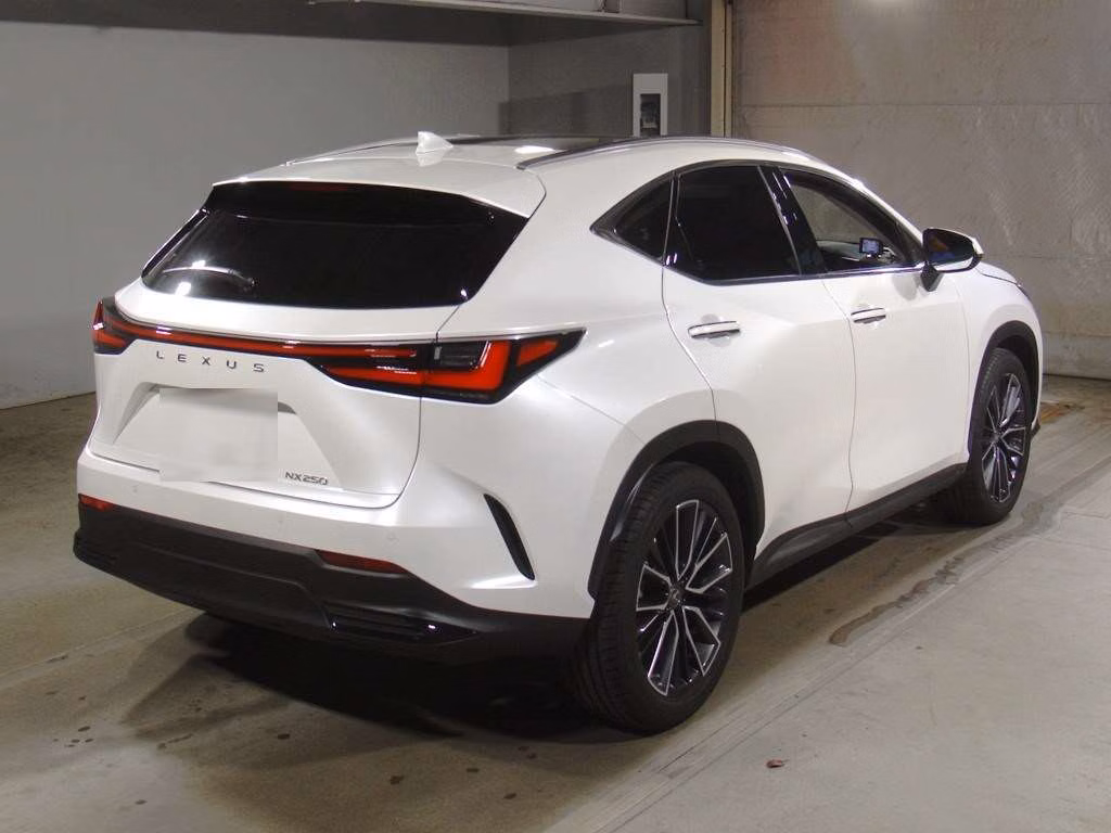 LEXUS NX250