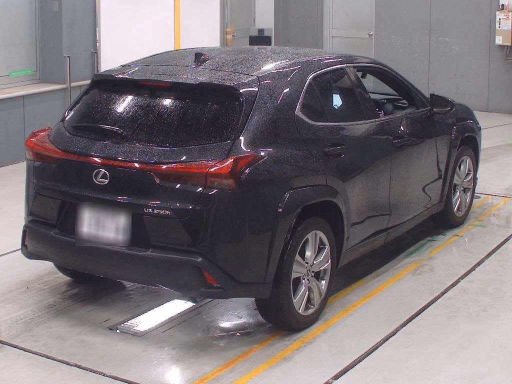 LEXUS UX250H