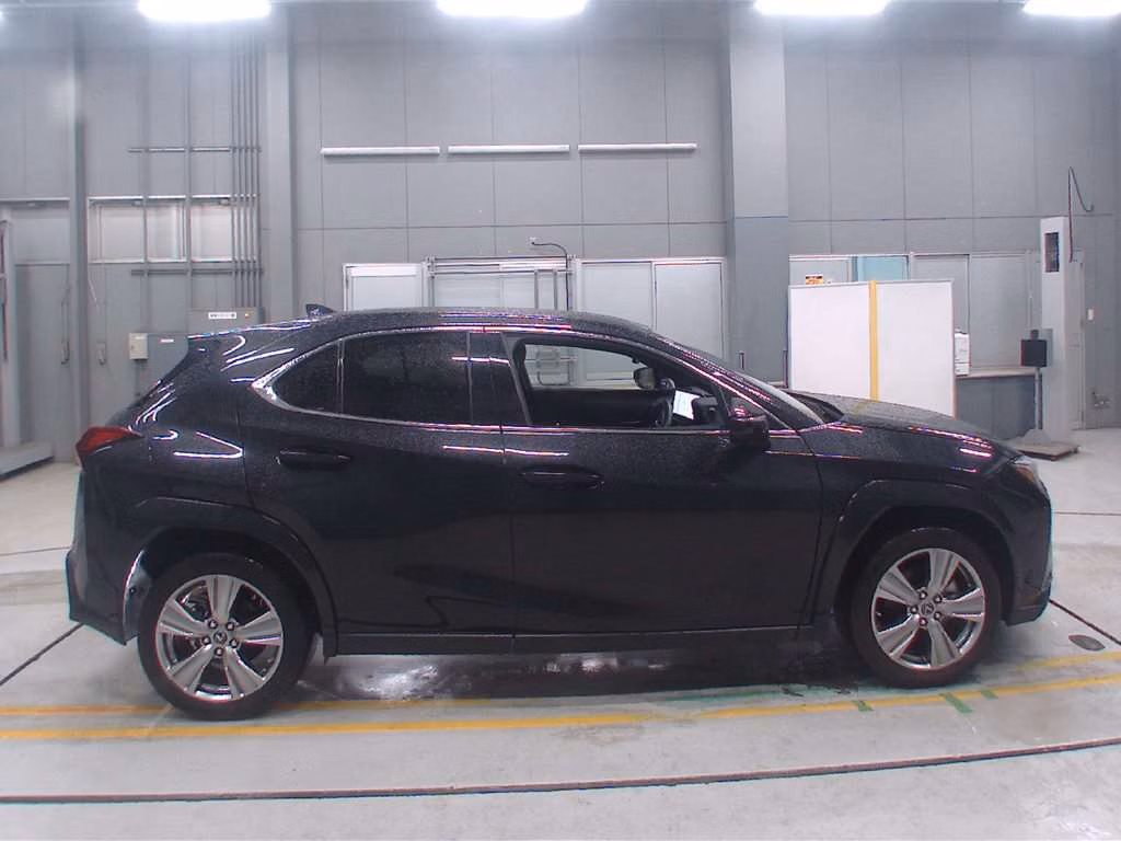 LEXUS UX250H