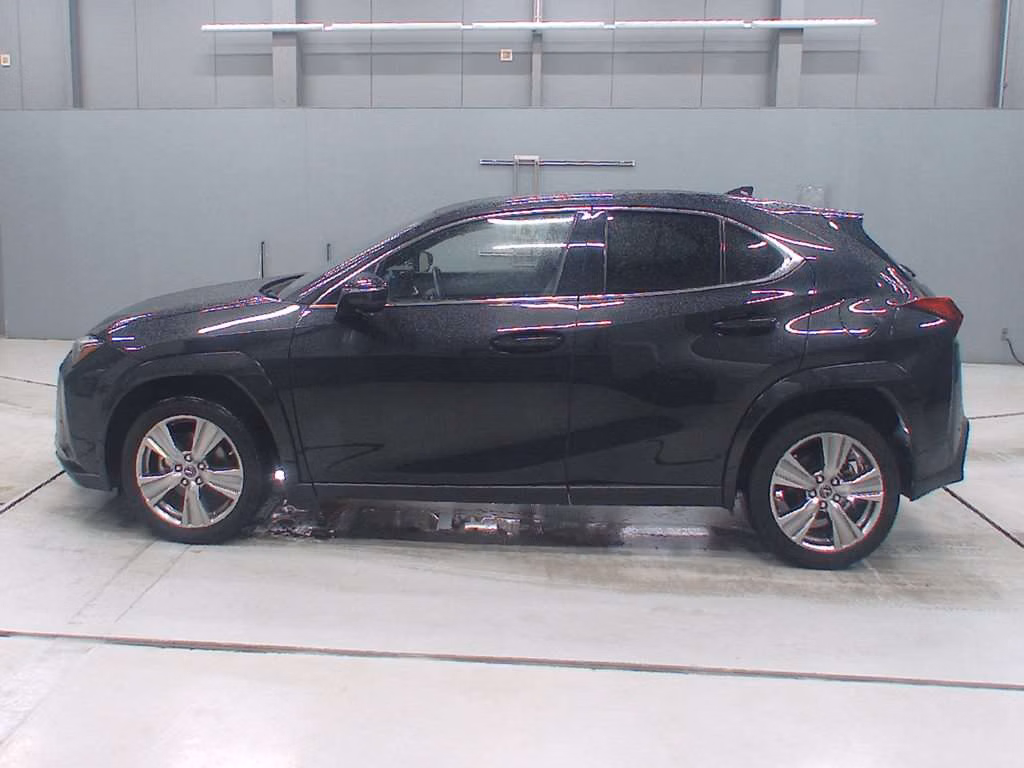 LEXUS UX250H