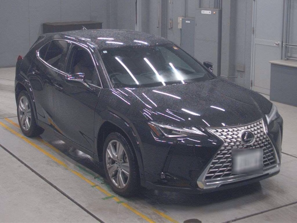 LEXUS UX250H
