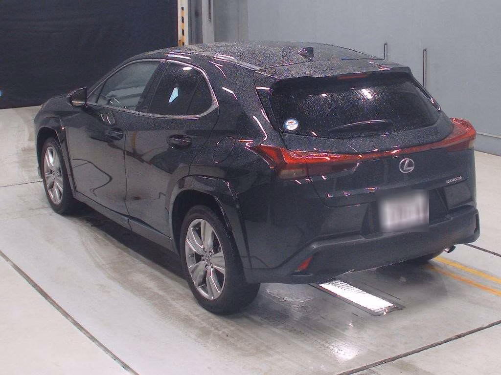 LEXUS UX250H