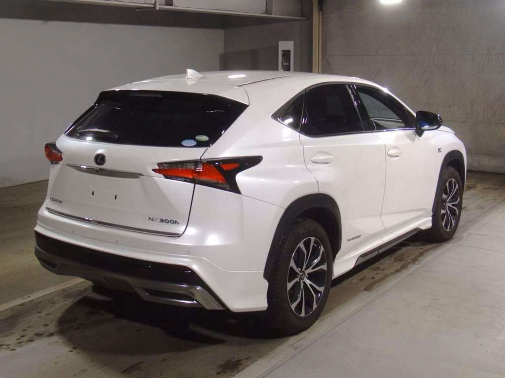 LEXUS NX300