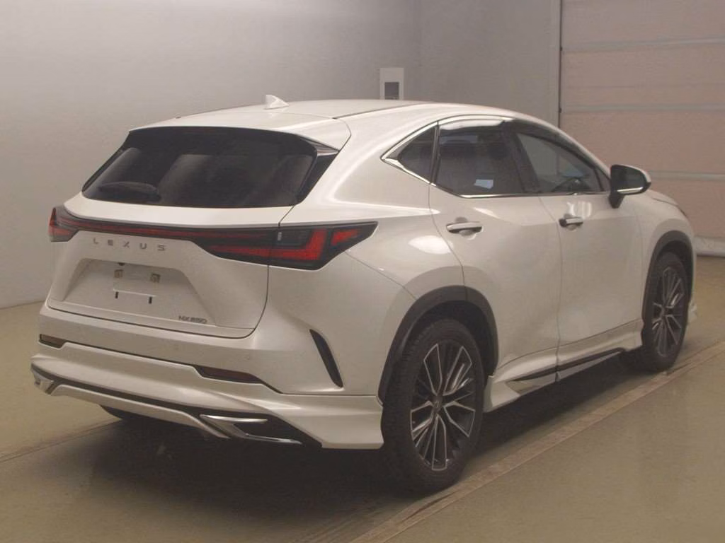 LEXUS NX250