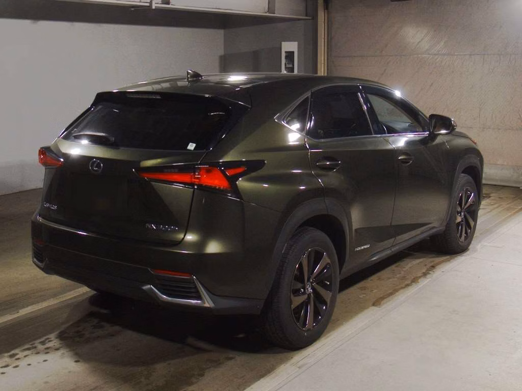 LEXUS NX300H