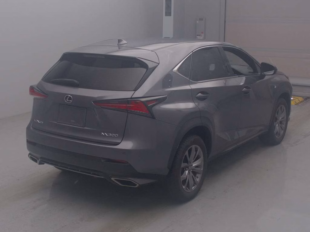 LEXUS NX300