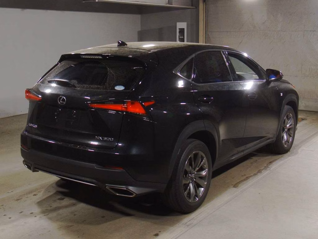 LEXUS NX300