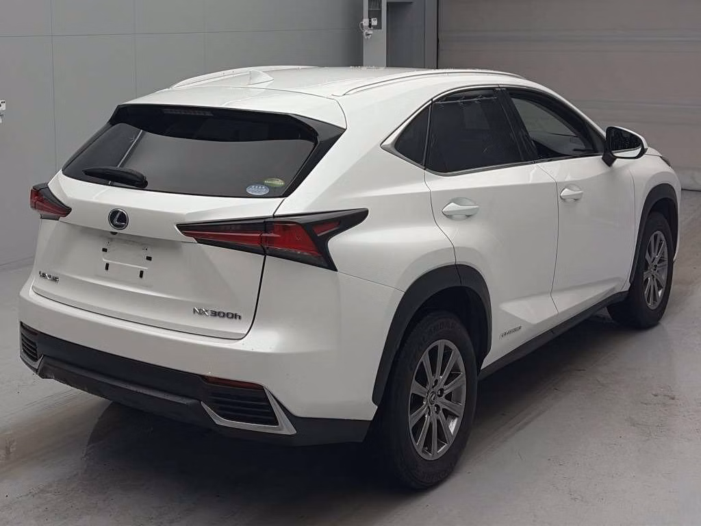 LEXUS NX300H