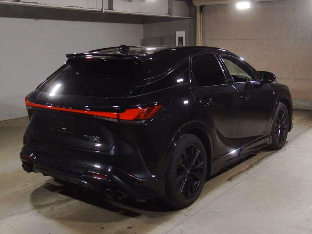 LEXUS RX500H