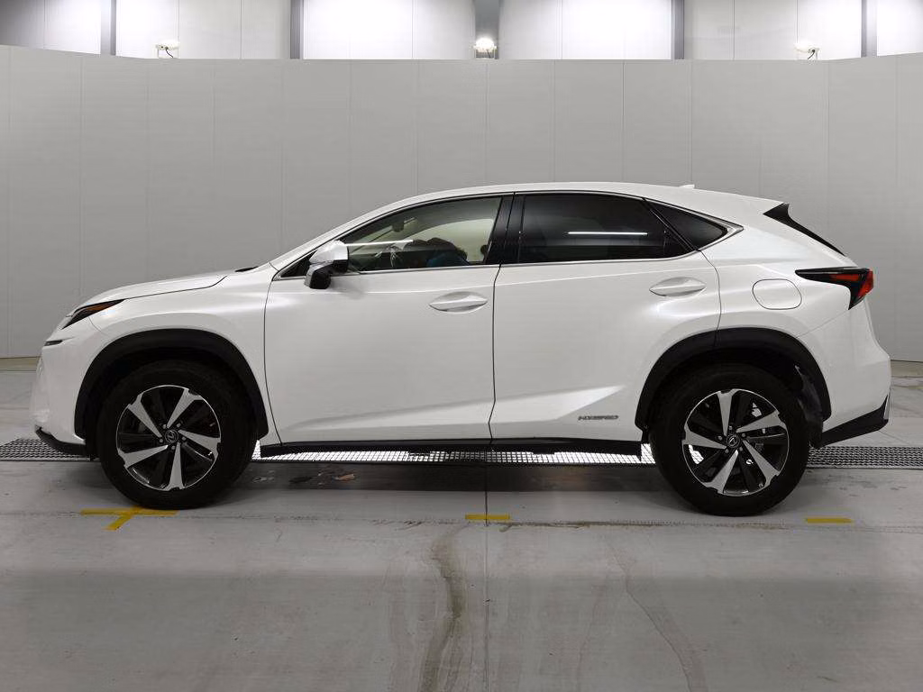 LEXUS NX300H