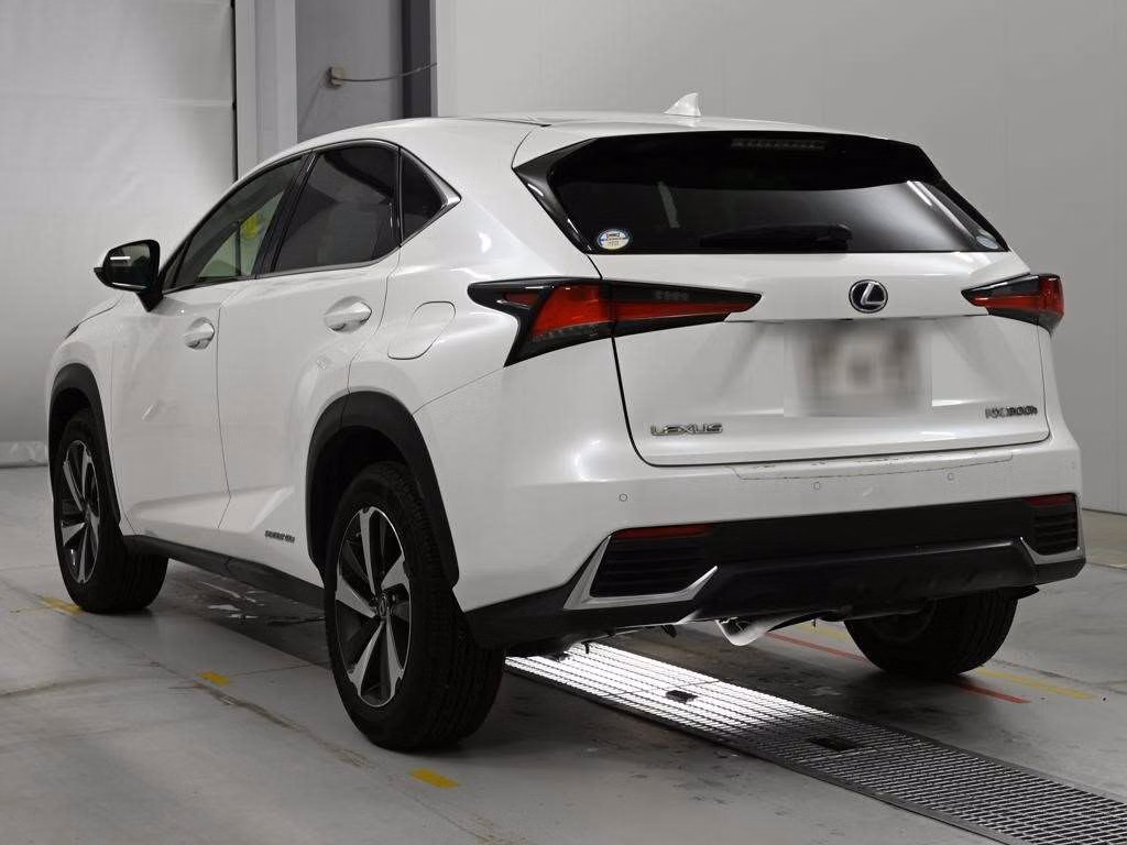 LEXUS NX300H