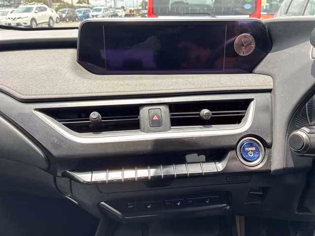 LEXUS UX250H
