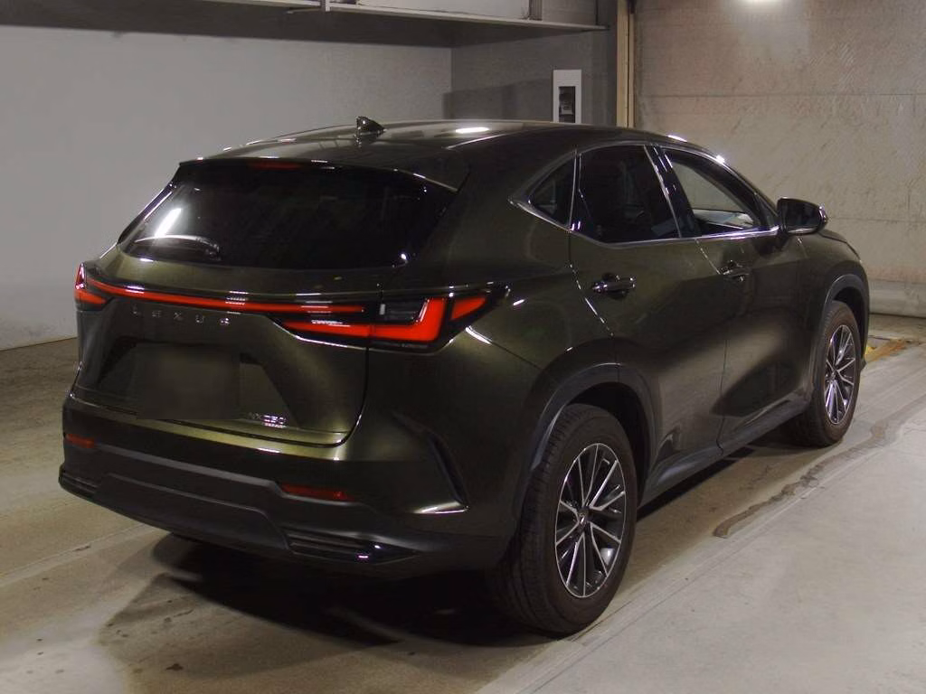 LEXUS NX250