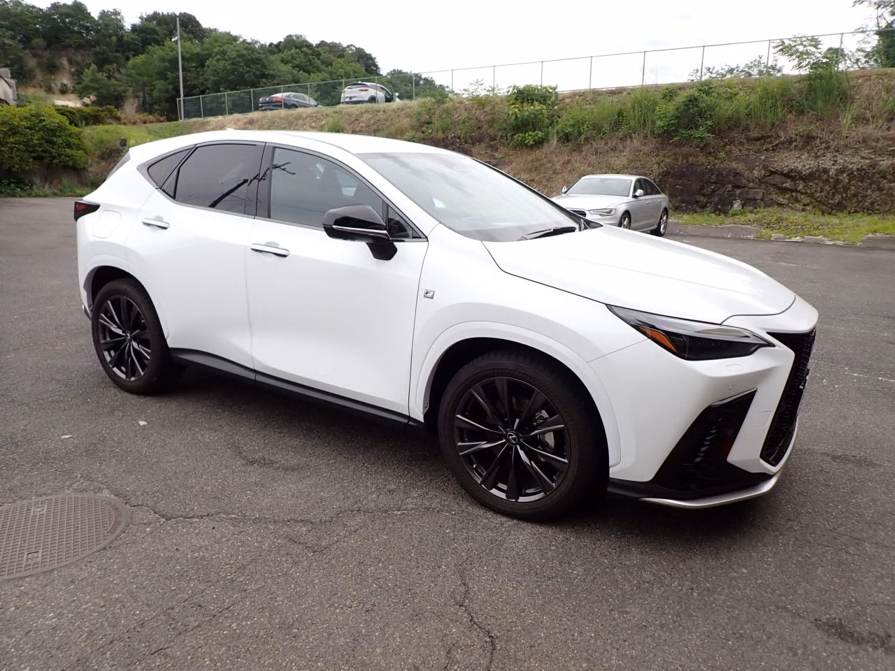 LEXUS NX450H+