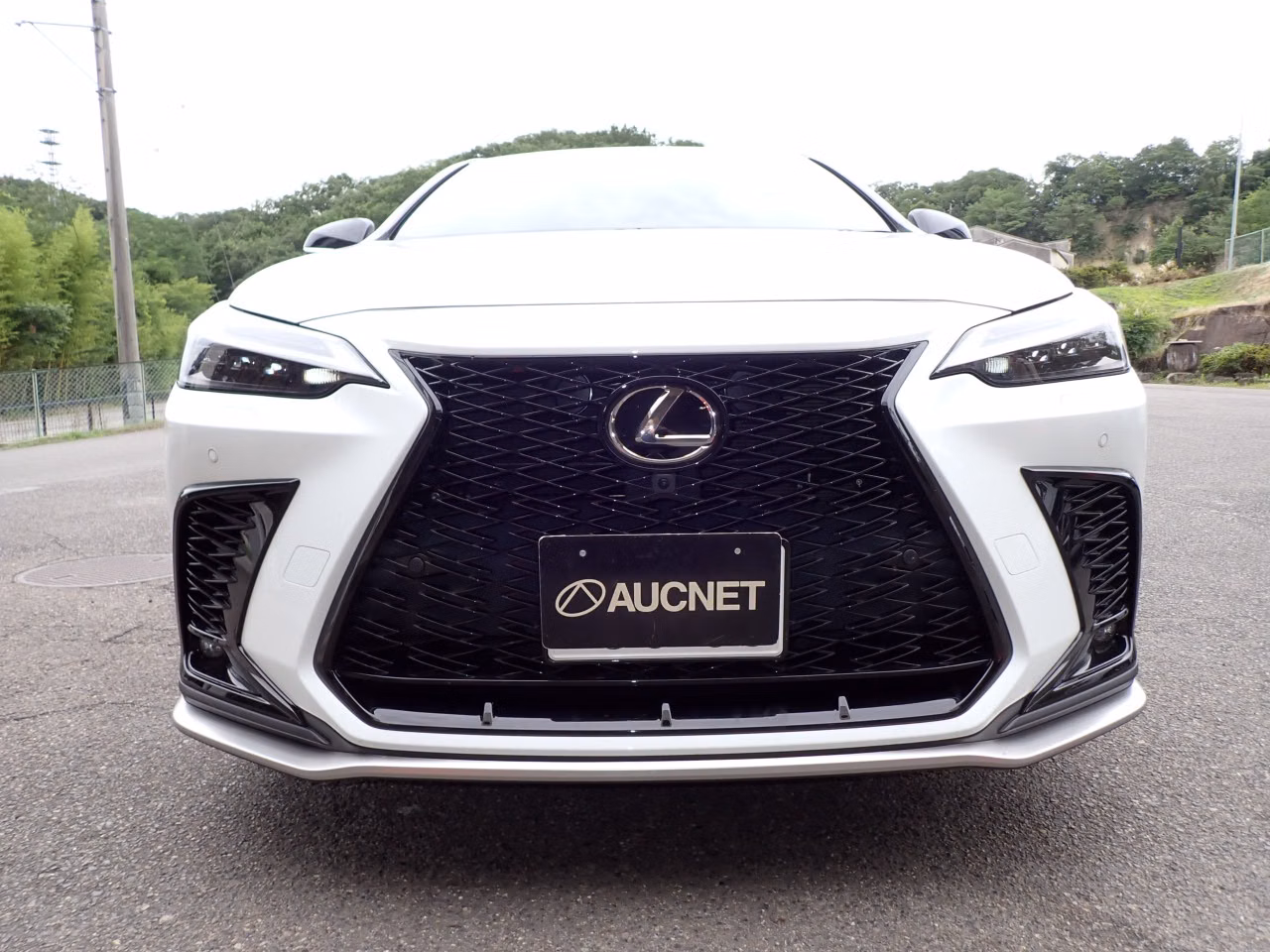 LEXUS NX450H+