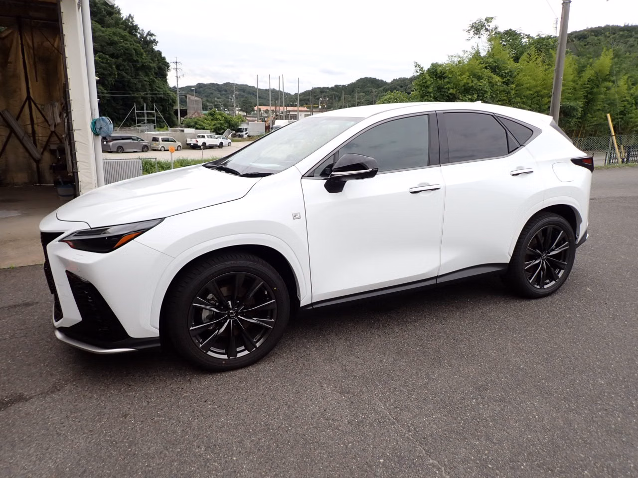 LEXUS NX450H+