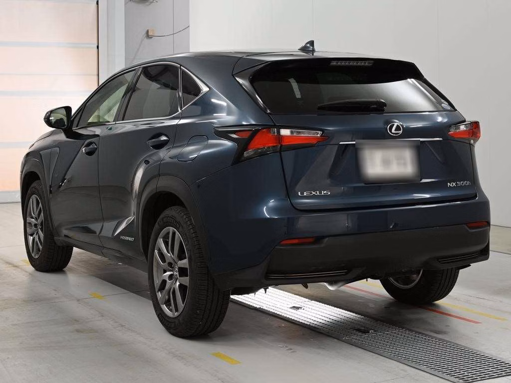 LEXUS NX300H