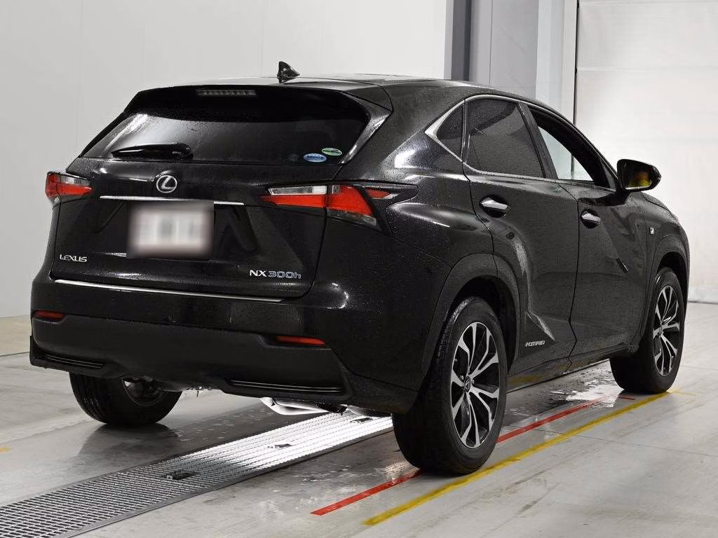 LEXUS NX300H