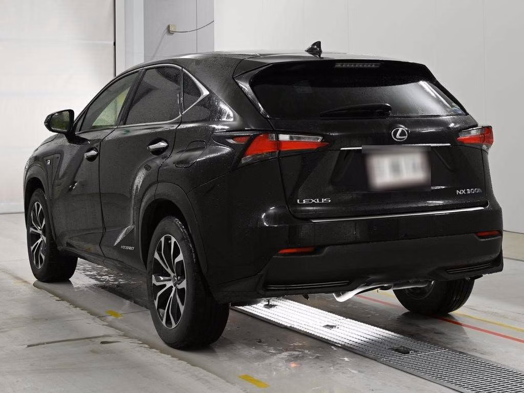 LEXUS NX300H