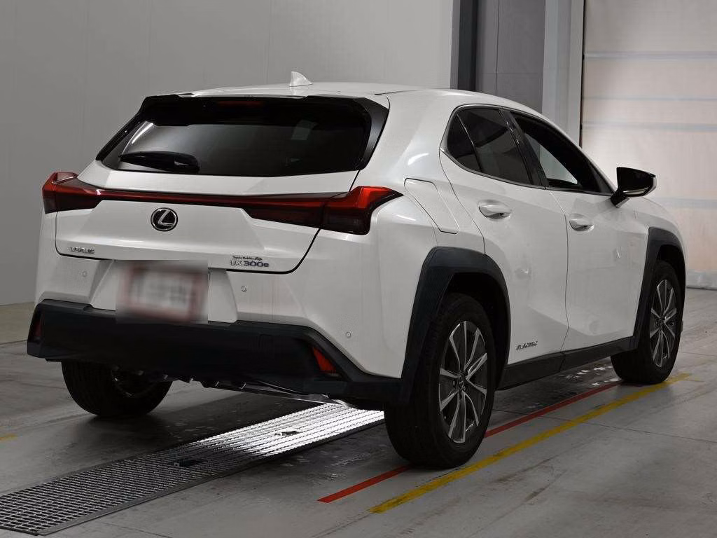 LEXUS UX300E