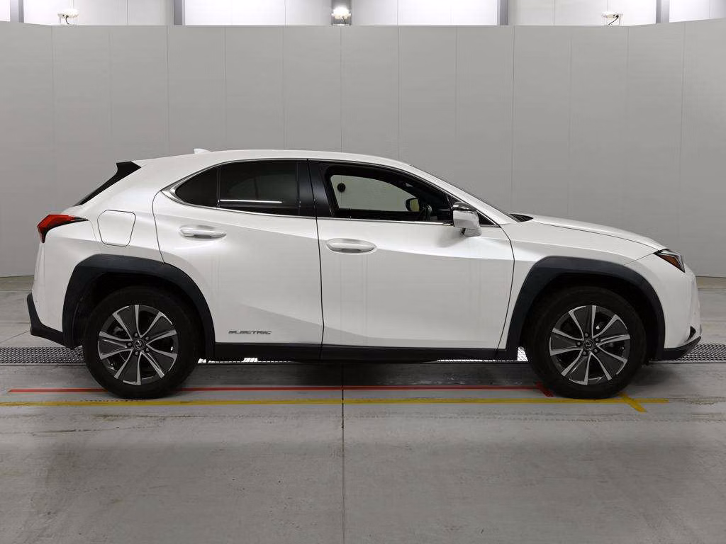 LEXUS UX300E
