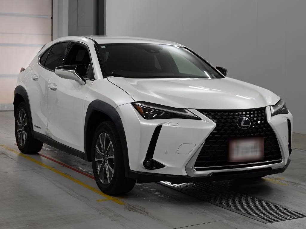 LEXUS UX300E