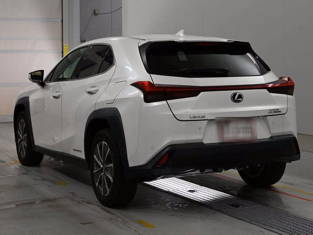 LEXUS UX300E
