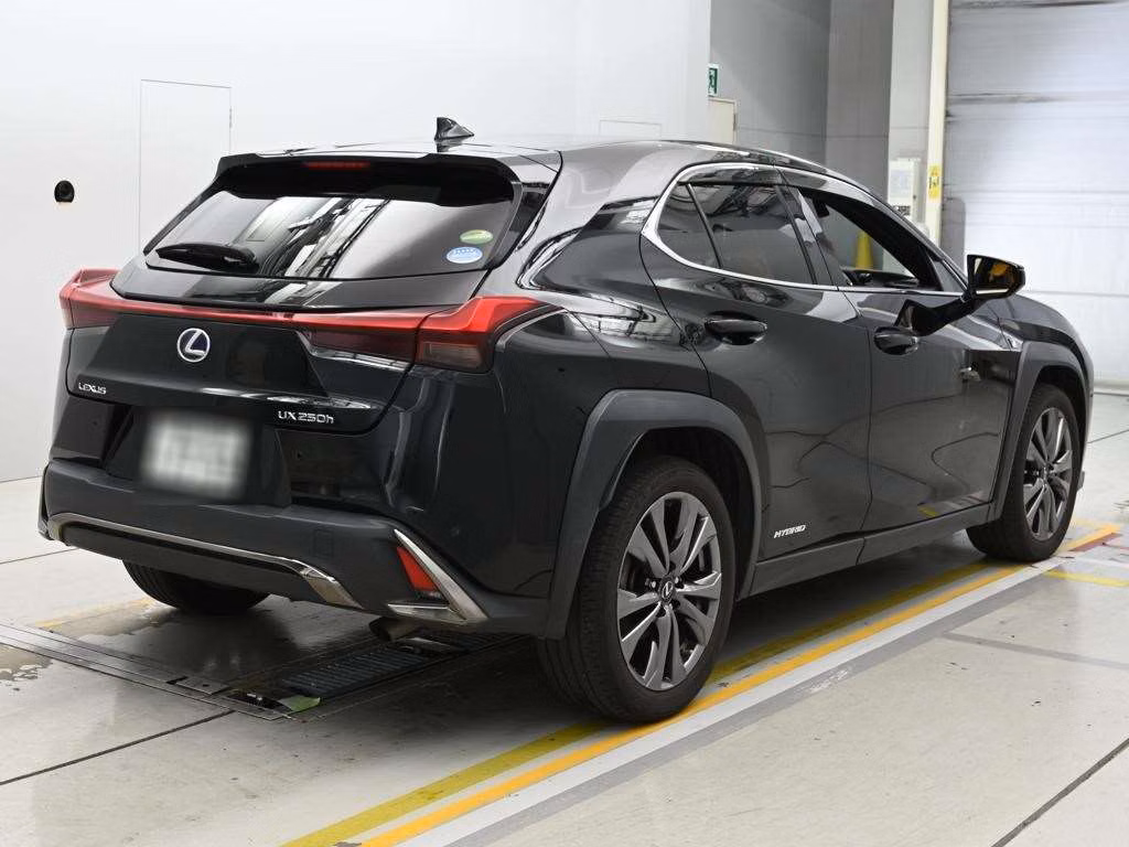 LEXUS UX250H