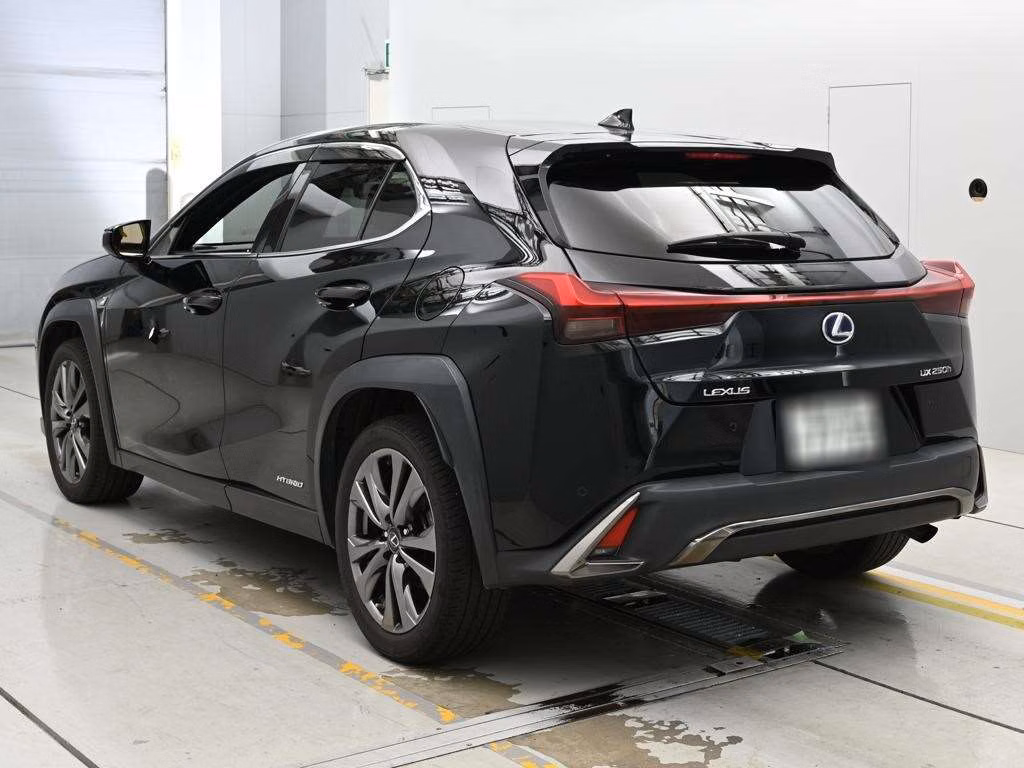 LEXUS UX250H