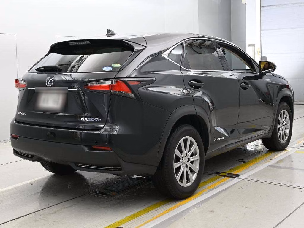 LEXUS NX300H