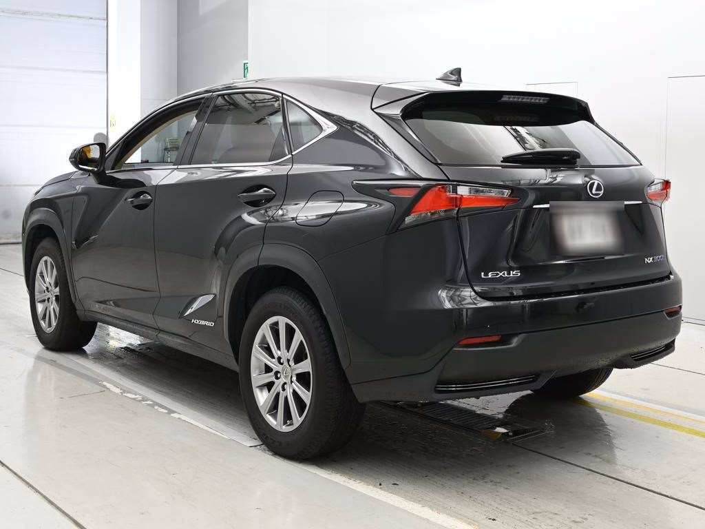 LEXUS NX300H