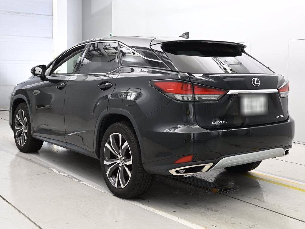 LEXUS RX300