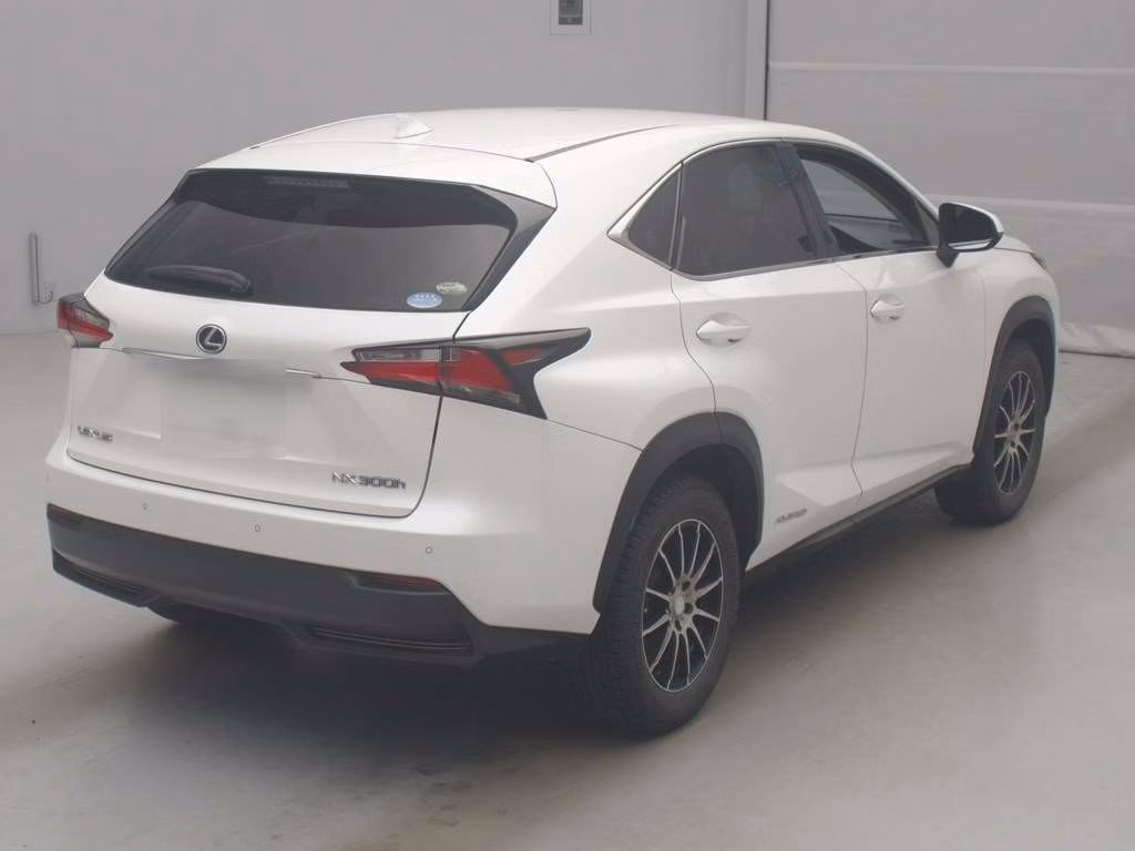 LEXUS NX300
