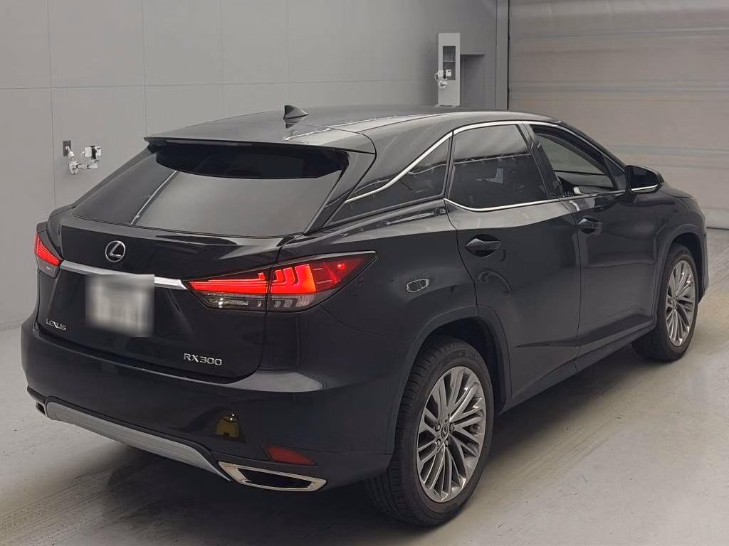 LEXUS RX300