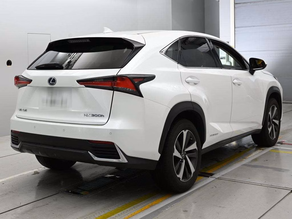 LEXUS NX300H